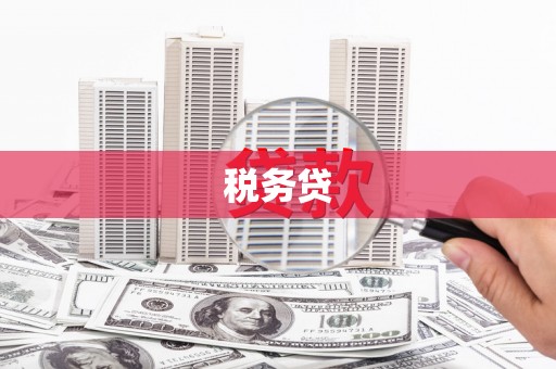 晋江税务贷
