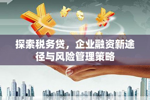 晋江探索税务贷，企业融资新途径与风险管理策略