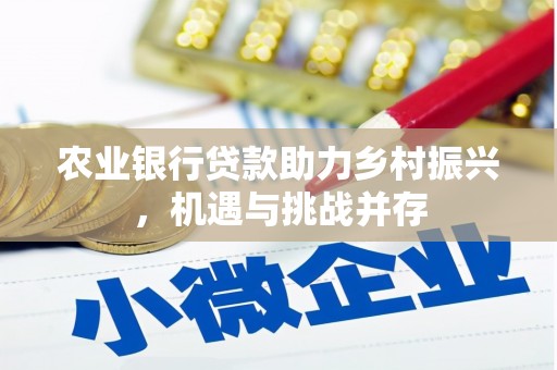 晋江农业银行贷款助力乡村振兴，机遇与挑战并存