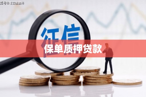 晋江保单质押贷款