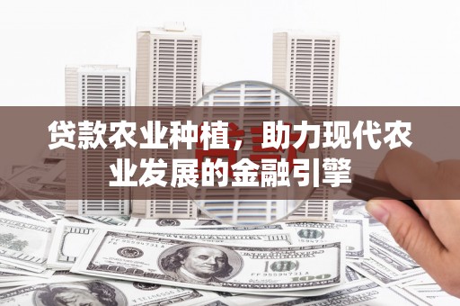 晋江贷款农业种植，助力现代农业发展的金融引擎