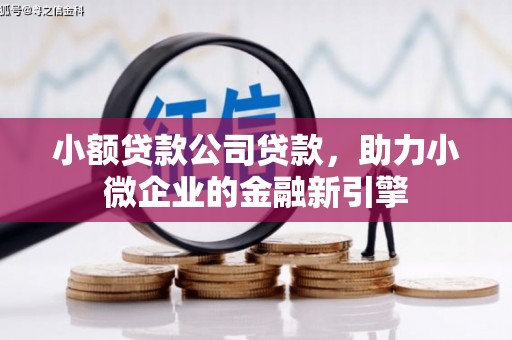 晋江小额贷款公司贷款，助力小微企业的金融新引擎