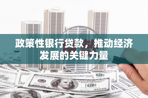 晋江政策性银行贷款，推动经济发展的关键力量