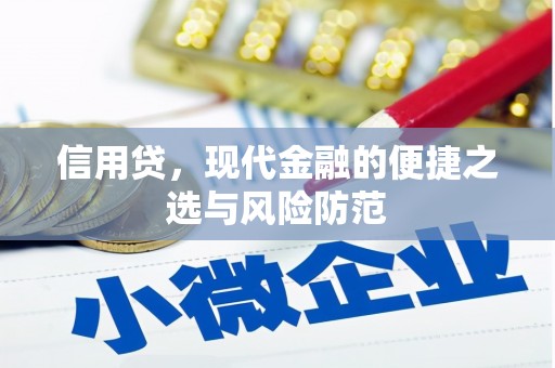 晋江信用贷，现代金融的便捷之选与风险防范