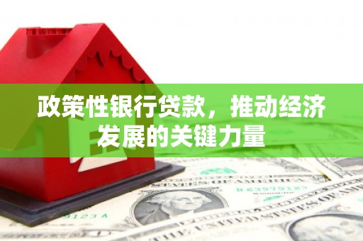 晋江政策性银行贷款，推动经济发展的关键力量