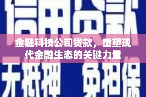 晋江金融科技公司贷款，重塑现代金融生态的关键力量
