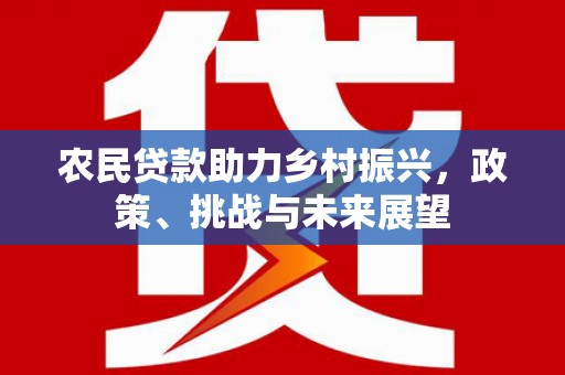 晋江农民贷款助力乡村振兴，政策、挑战与未来展望
