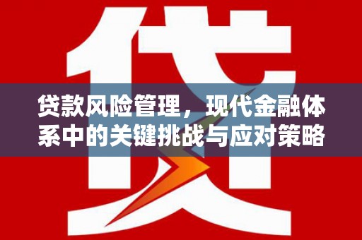 晋江贷款风险管理，现代金融体系中的关键挑战与应对策略