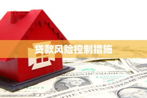 晋江贷款风险控制措施