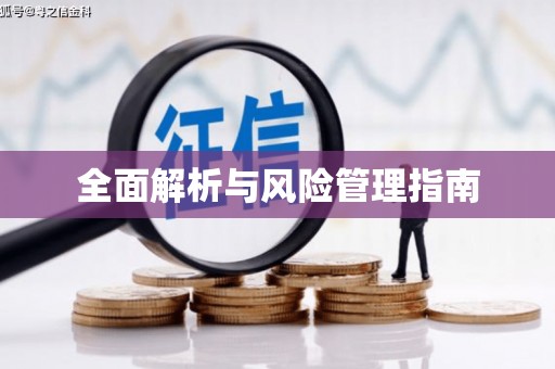 晋江全面解析与风险管理指南