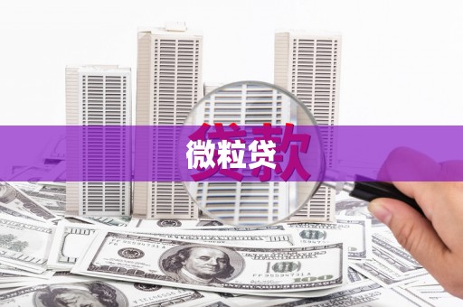 晋江微粒贷