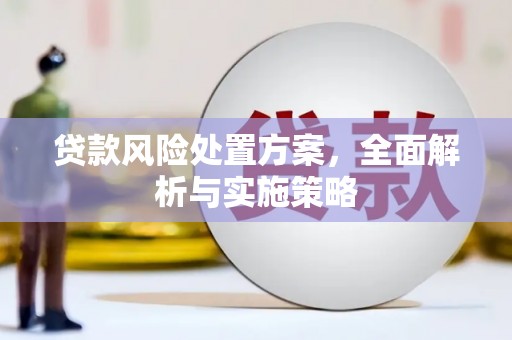 晋江贷款风险处置方案，全面解析与实施策略