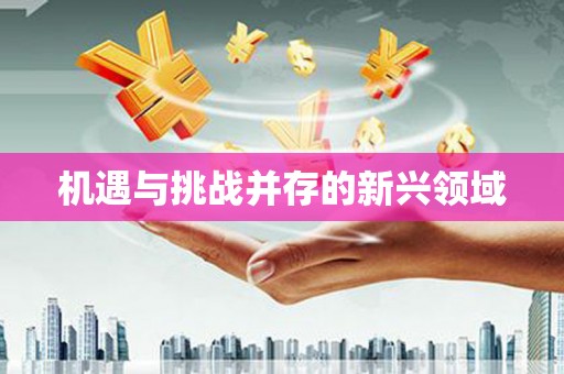 晋江机遇与挑战并存的新兴领域
