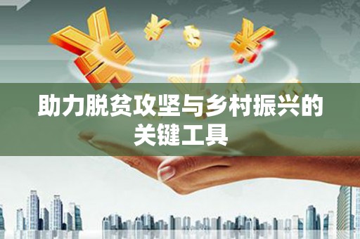 晋江助力脱贫攻坚与乡村振兴的关键工具
