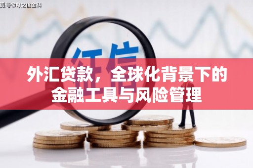 晋江外汇贷款，全球化背景下的金融工具与风险管理