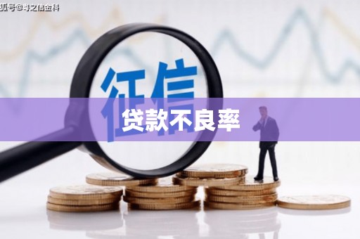晋江贷款不良率